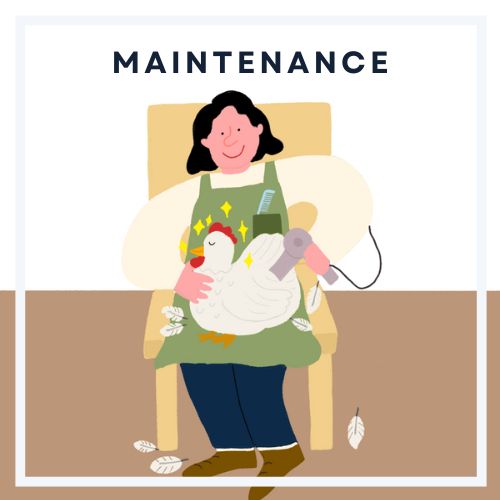 メンテナンスと購入